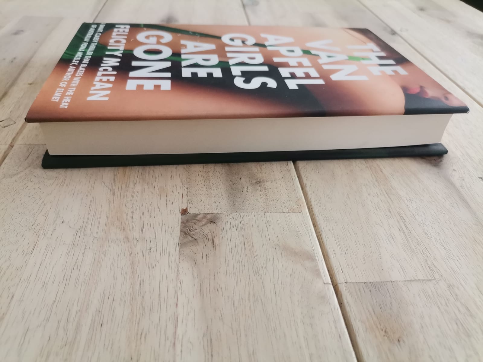 The Van Apfel Girls Are Gone – Felicity McLean