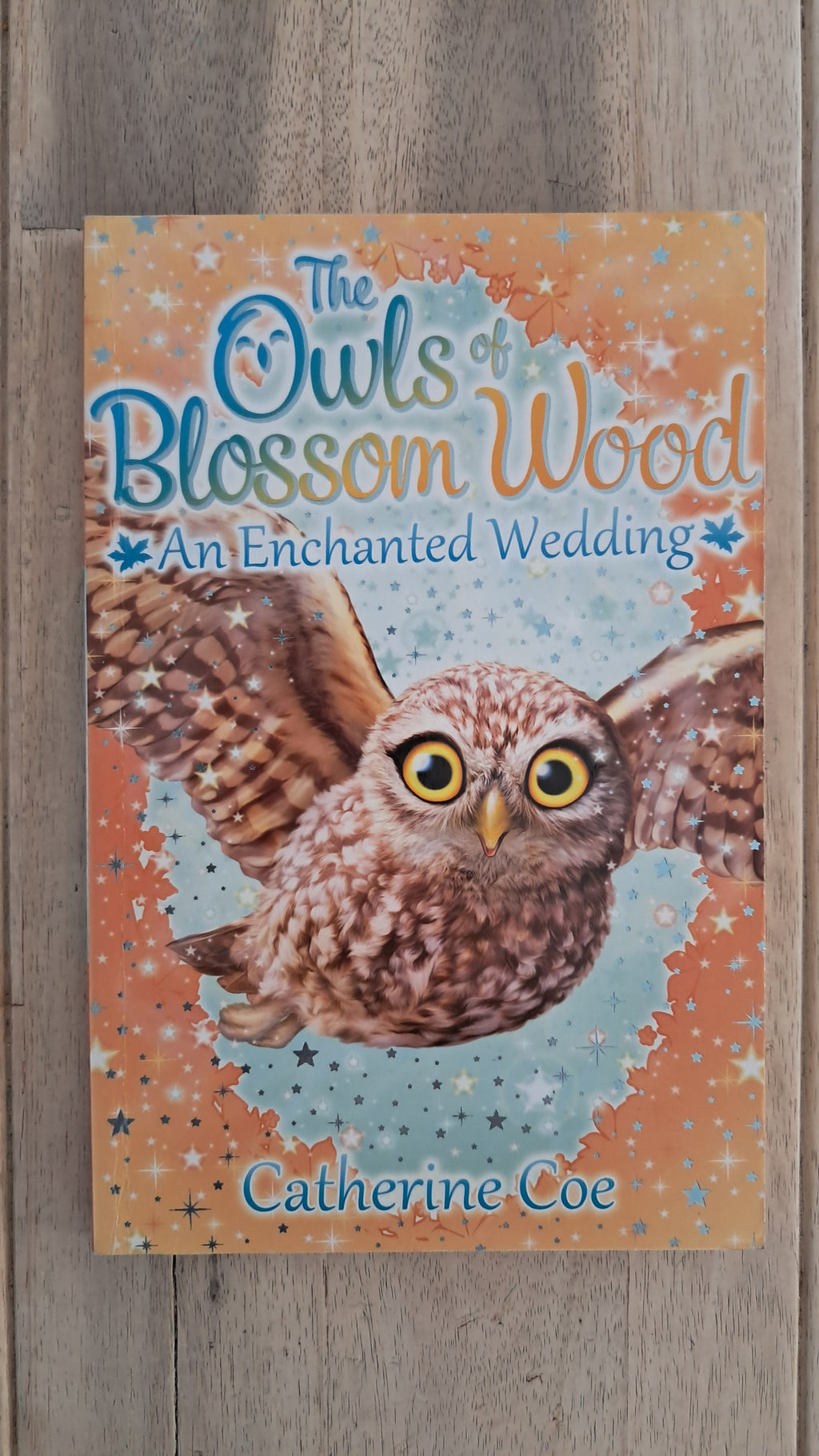 The Owls Of Blossom Wood: An Enchanted Wedding – Catherine Coe