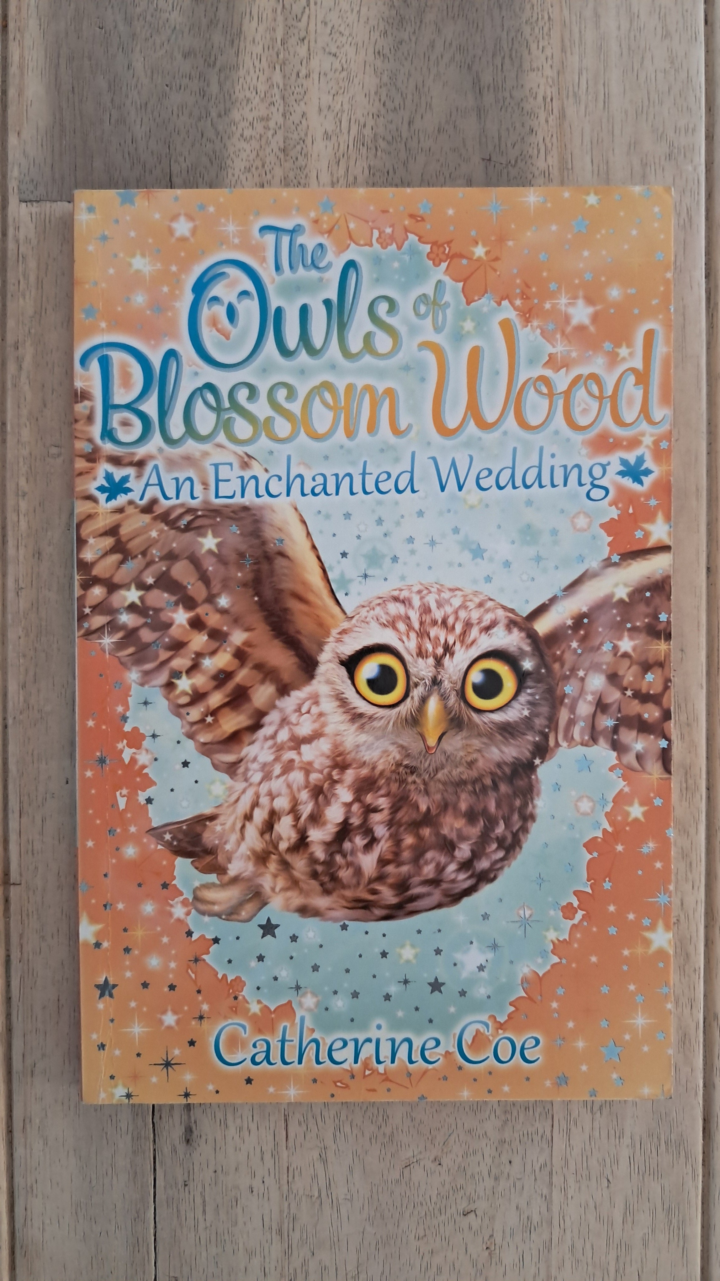 The Owls Of Blossom Wood: An Enchanted Wedding – Catherine Coe