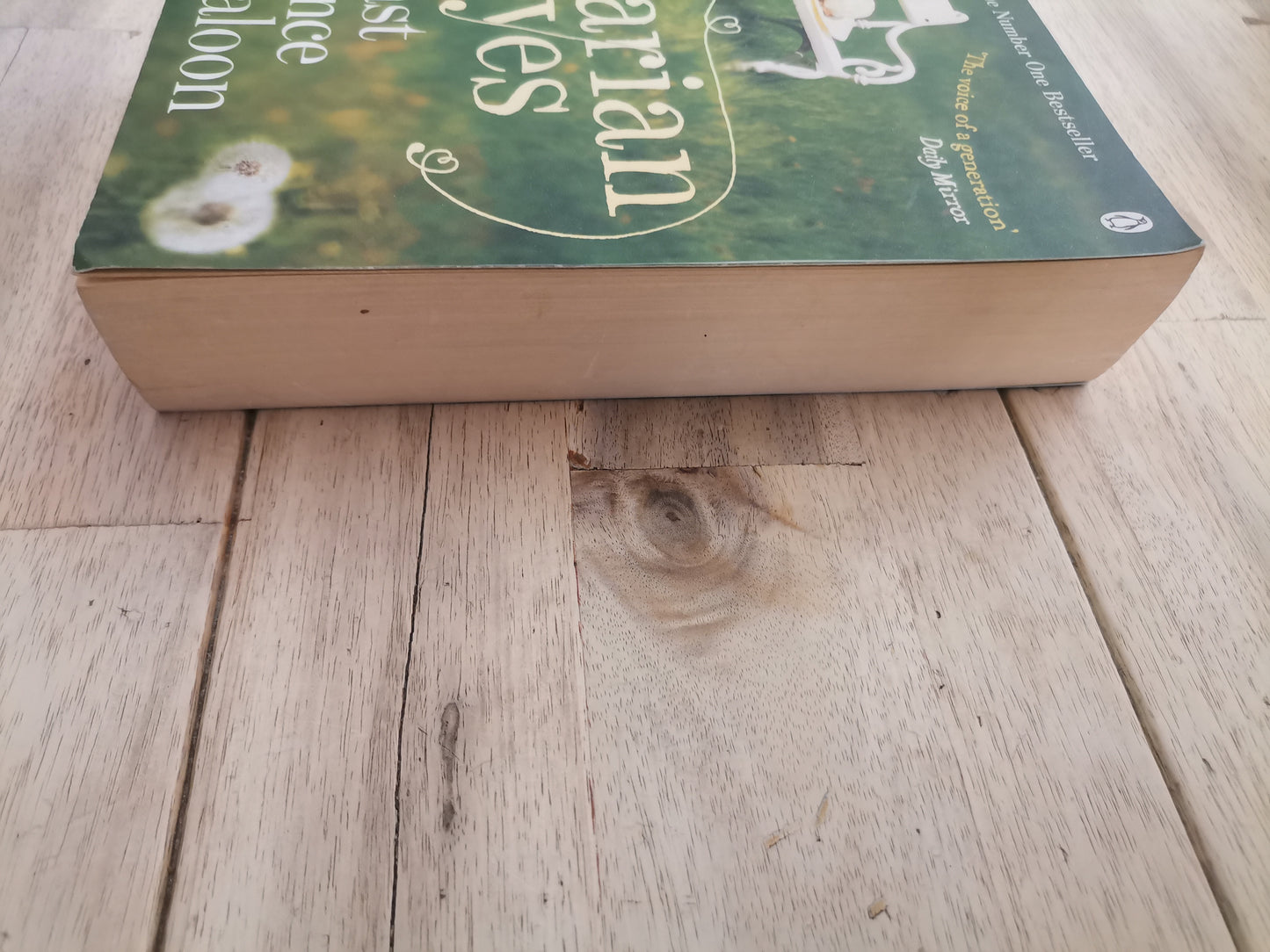 Last Chance Saloon by Marian Keyes