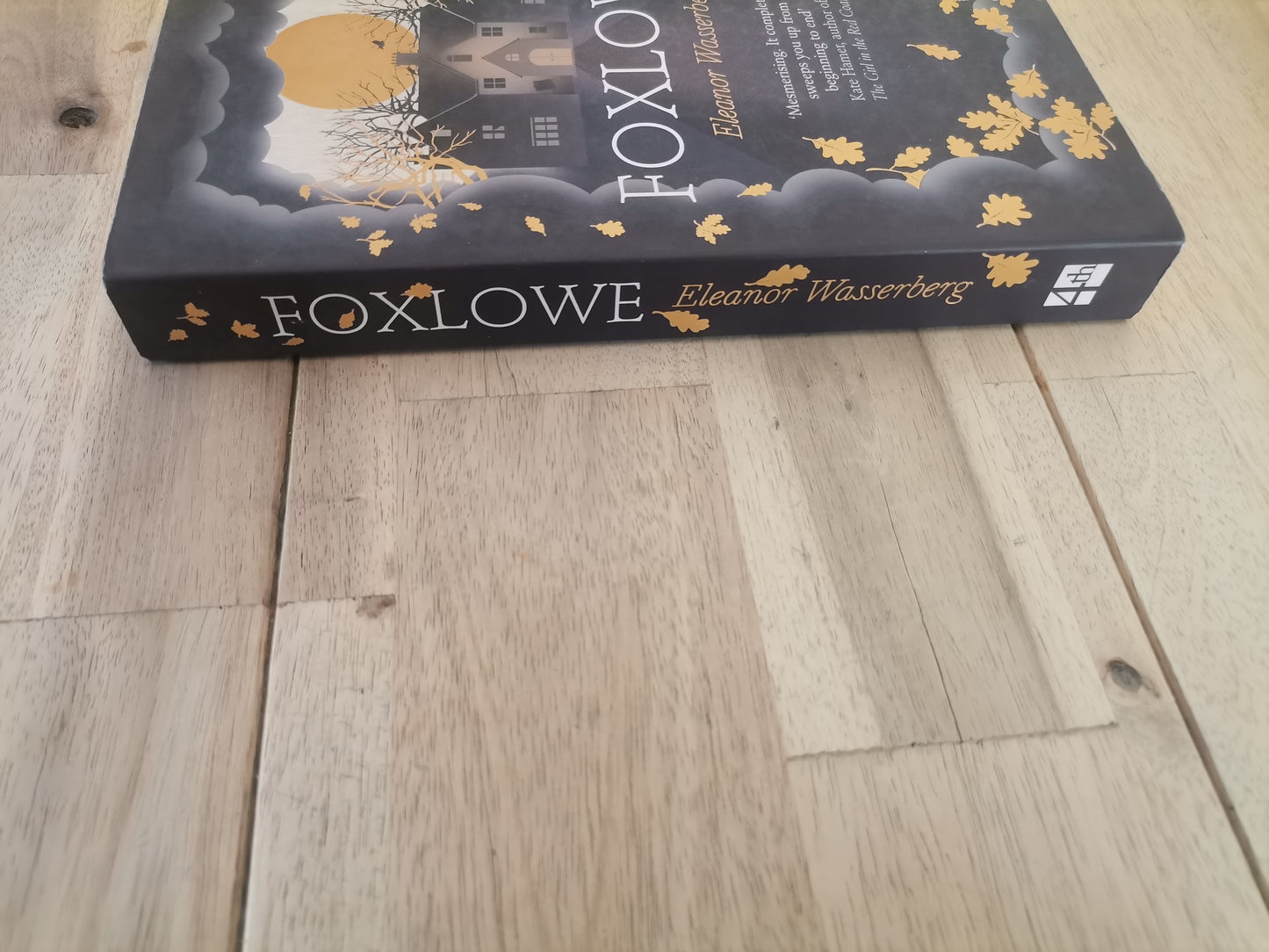 Foxlowe by Eleanor Wasserberg