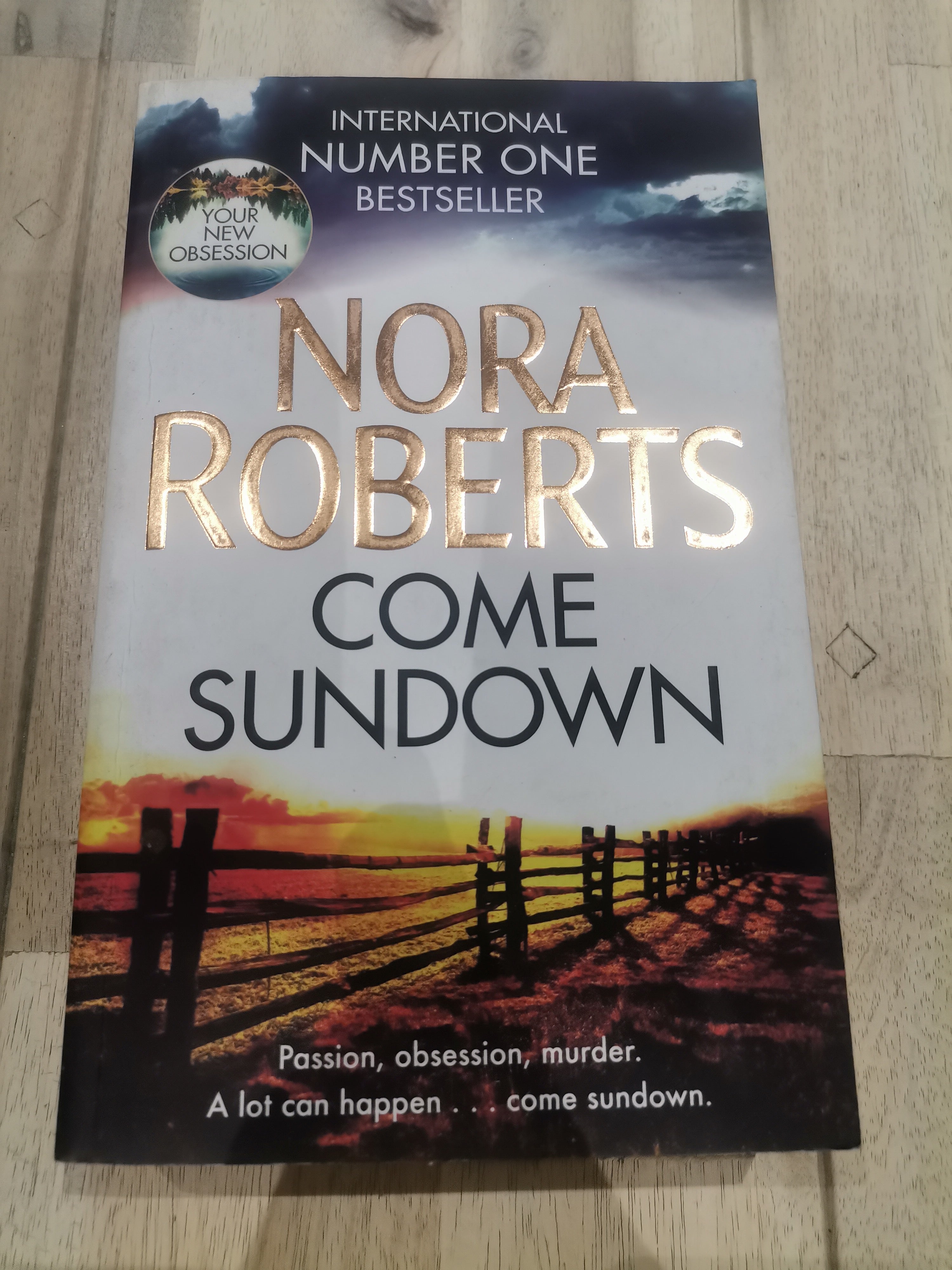 Come Sundown by Nora Roberts