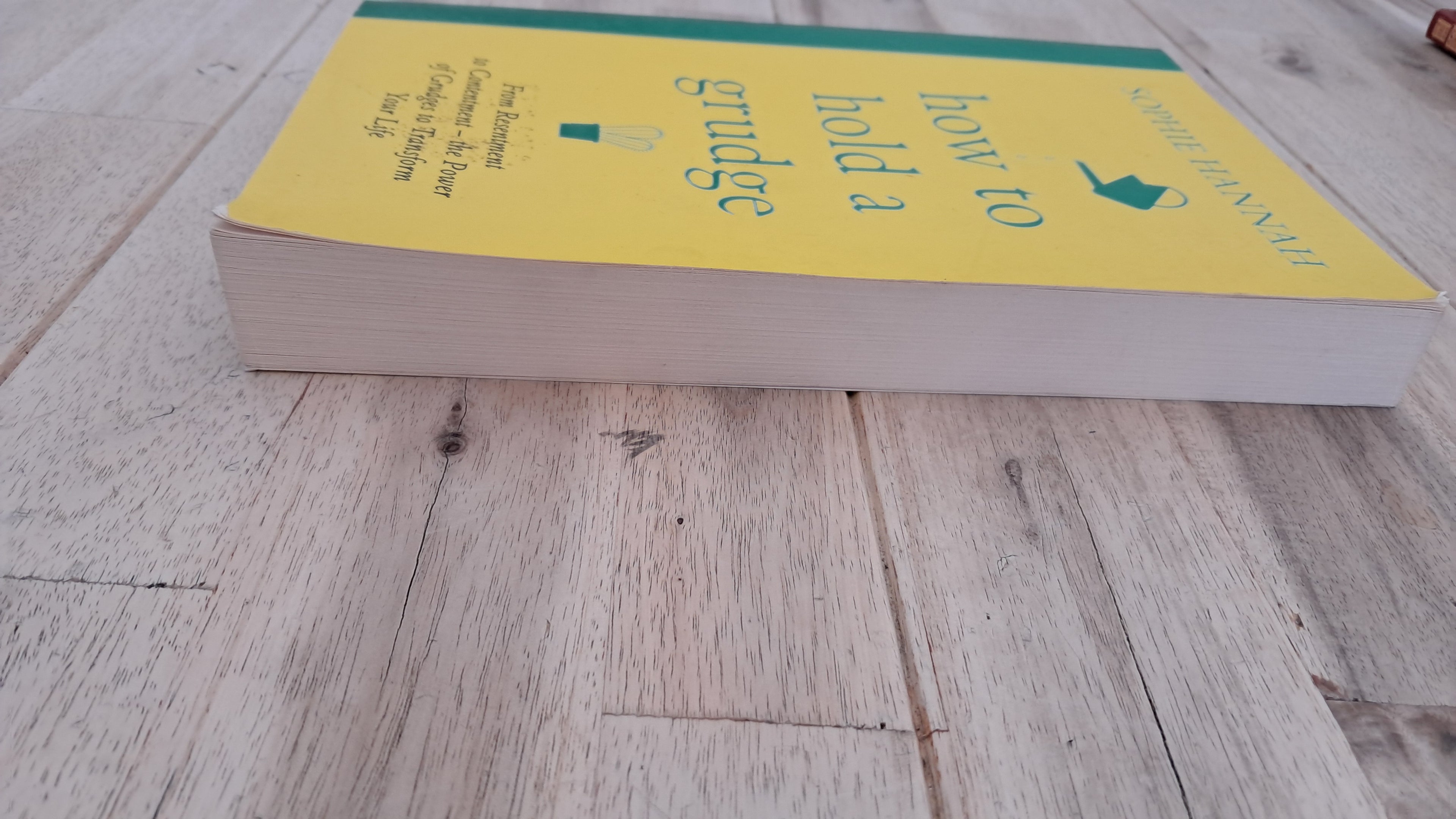 How to Hold a Grudge – Sophie Hannah