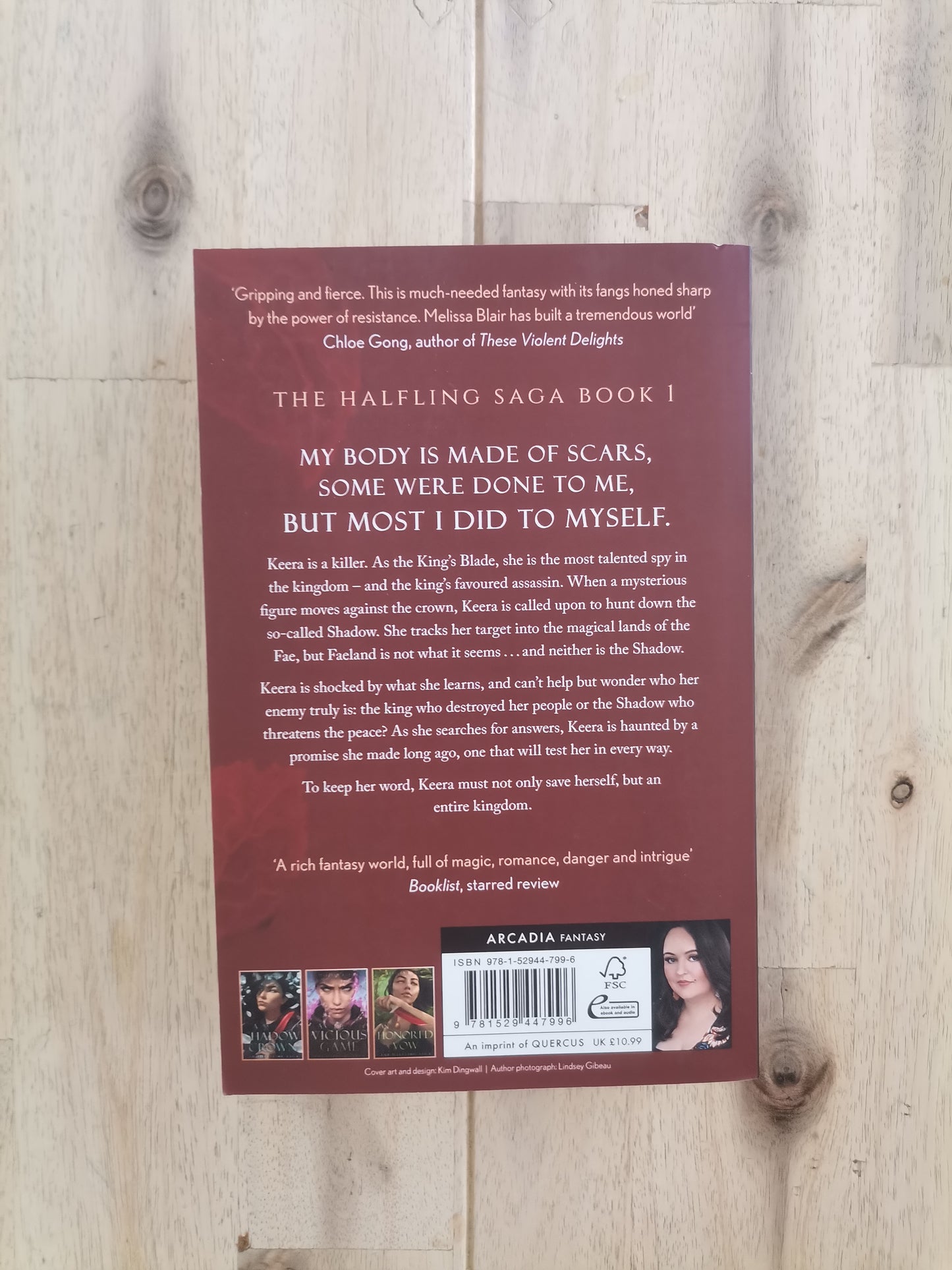 A Broken Blade – Melissa Blair