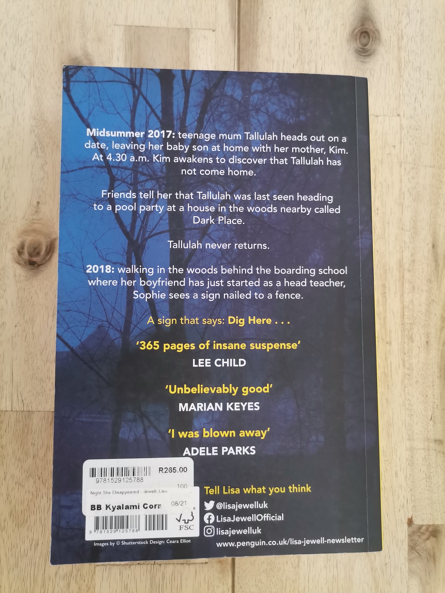 The Night She Disappeared – Lisa Jewell
