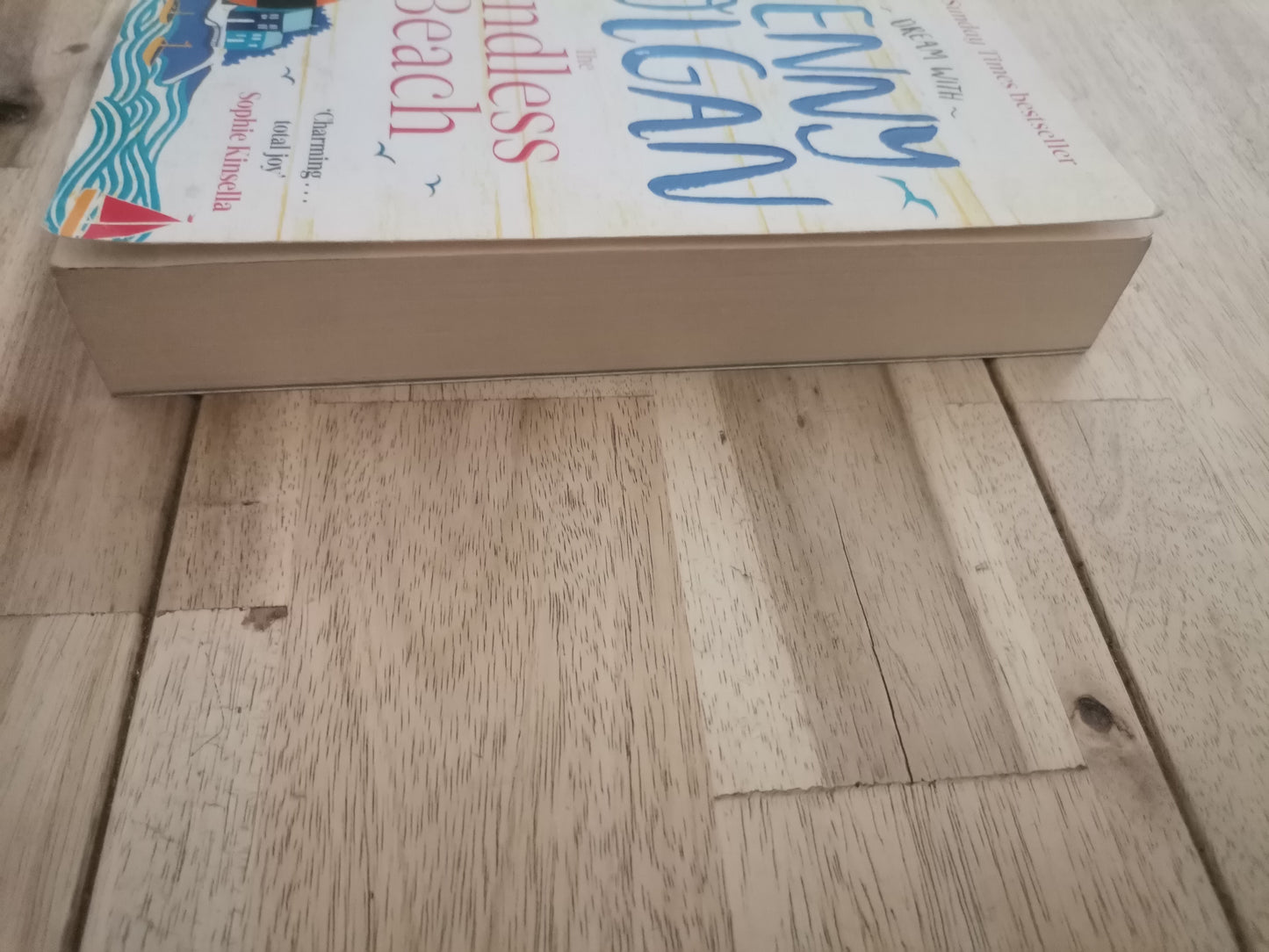 The Endless Beach by Jenny Colgan