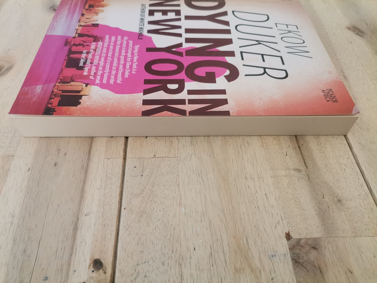 Dying In New York by Ekow Duker