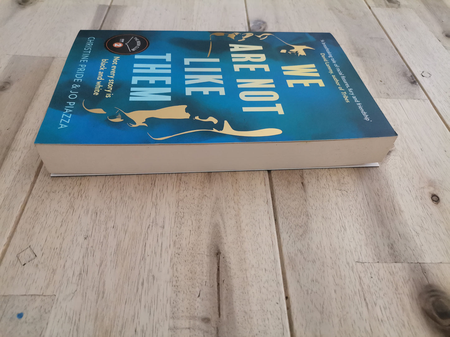 We Are Not Like Them – Christine Pride & Jo Piazza