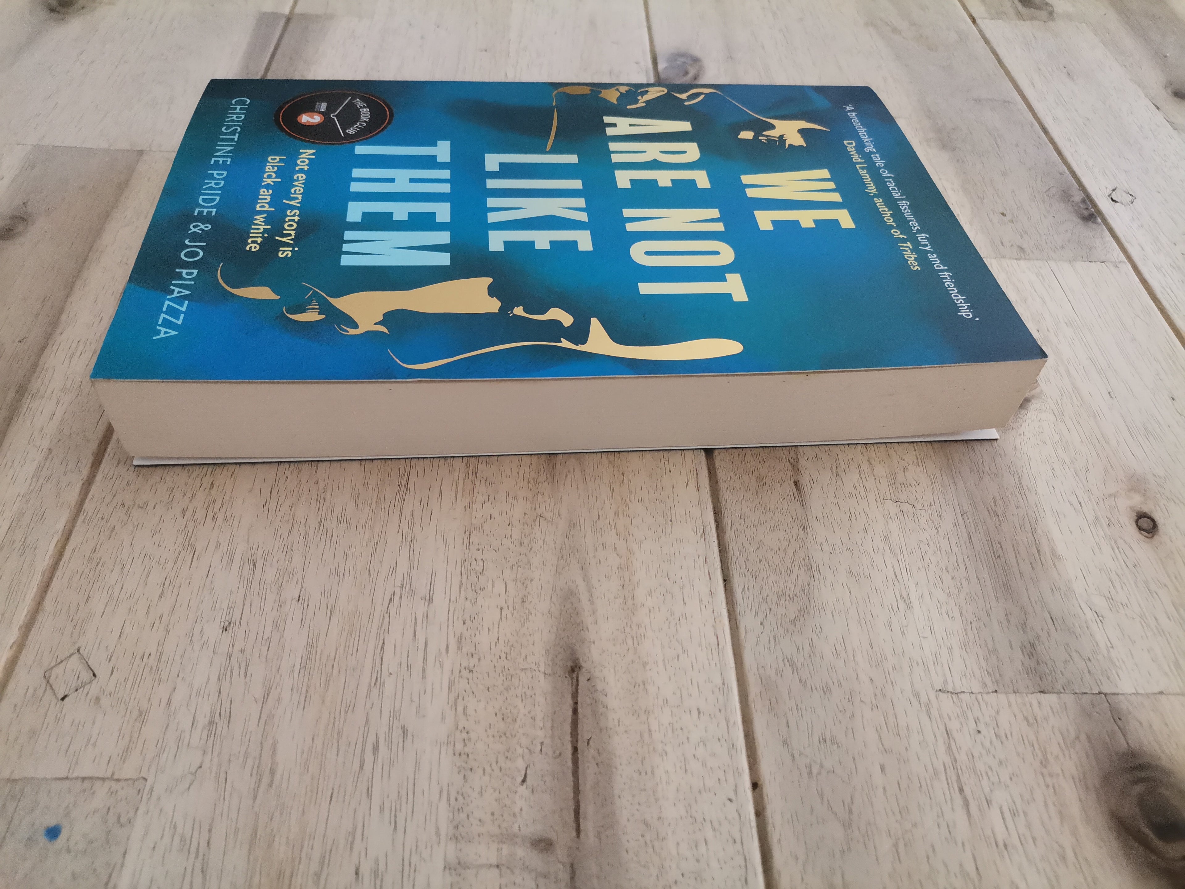 We Are Not Like Them – Christine Pride & Jo Piazza