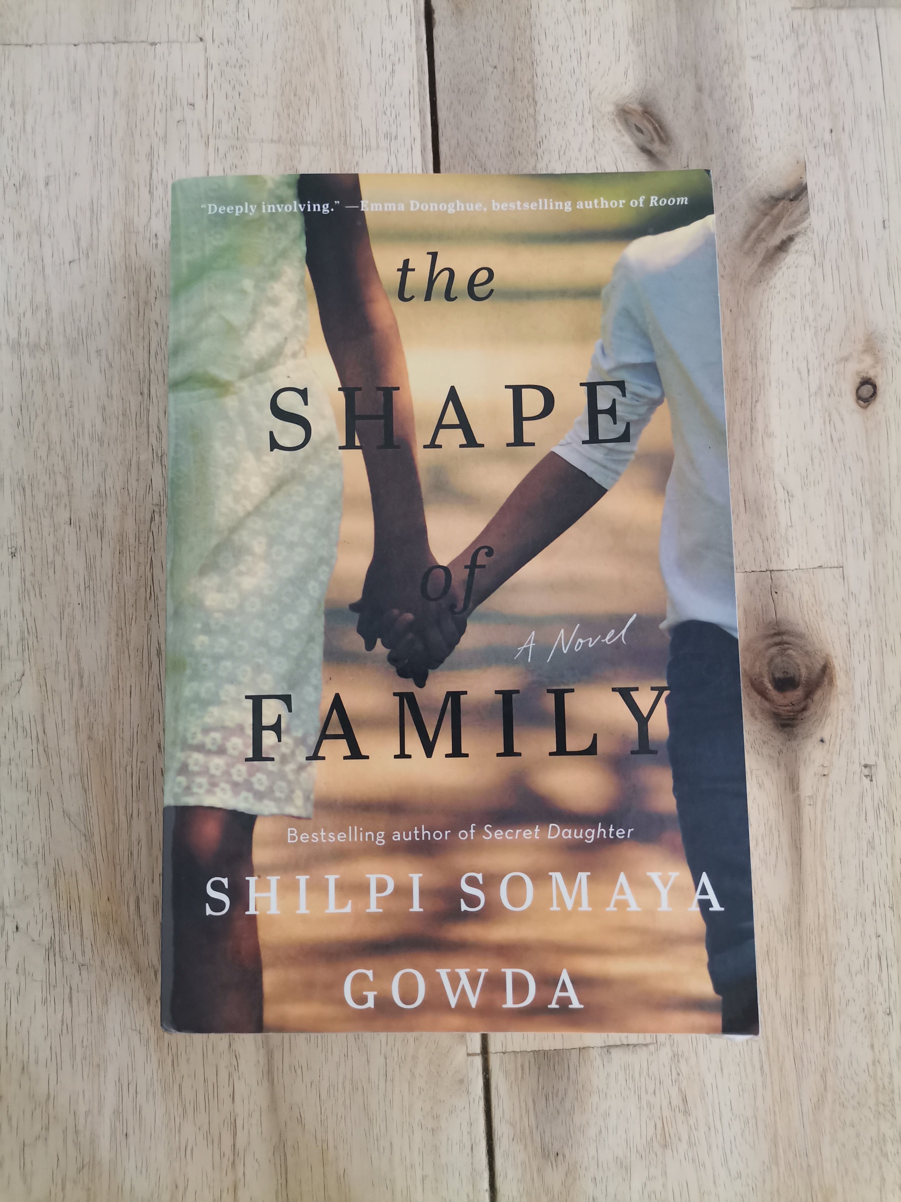 The Shape of Family – Shilpi Somaya Gowda
