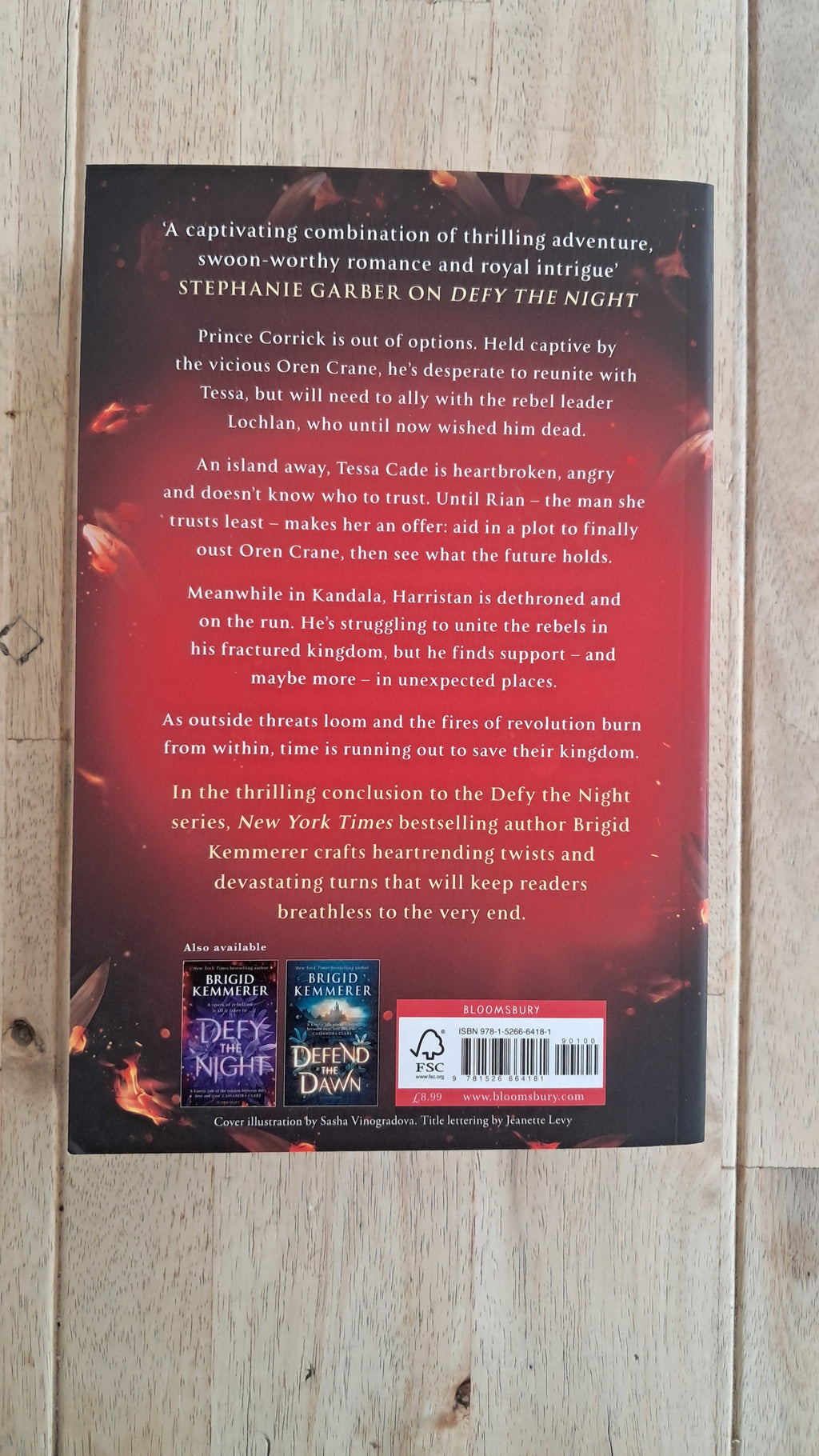 Destroy the Day – Brigid Kemmerer