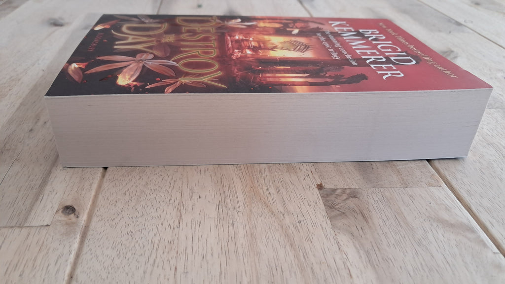 Destroy the Day – Brigid Kemmerer