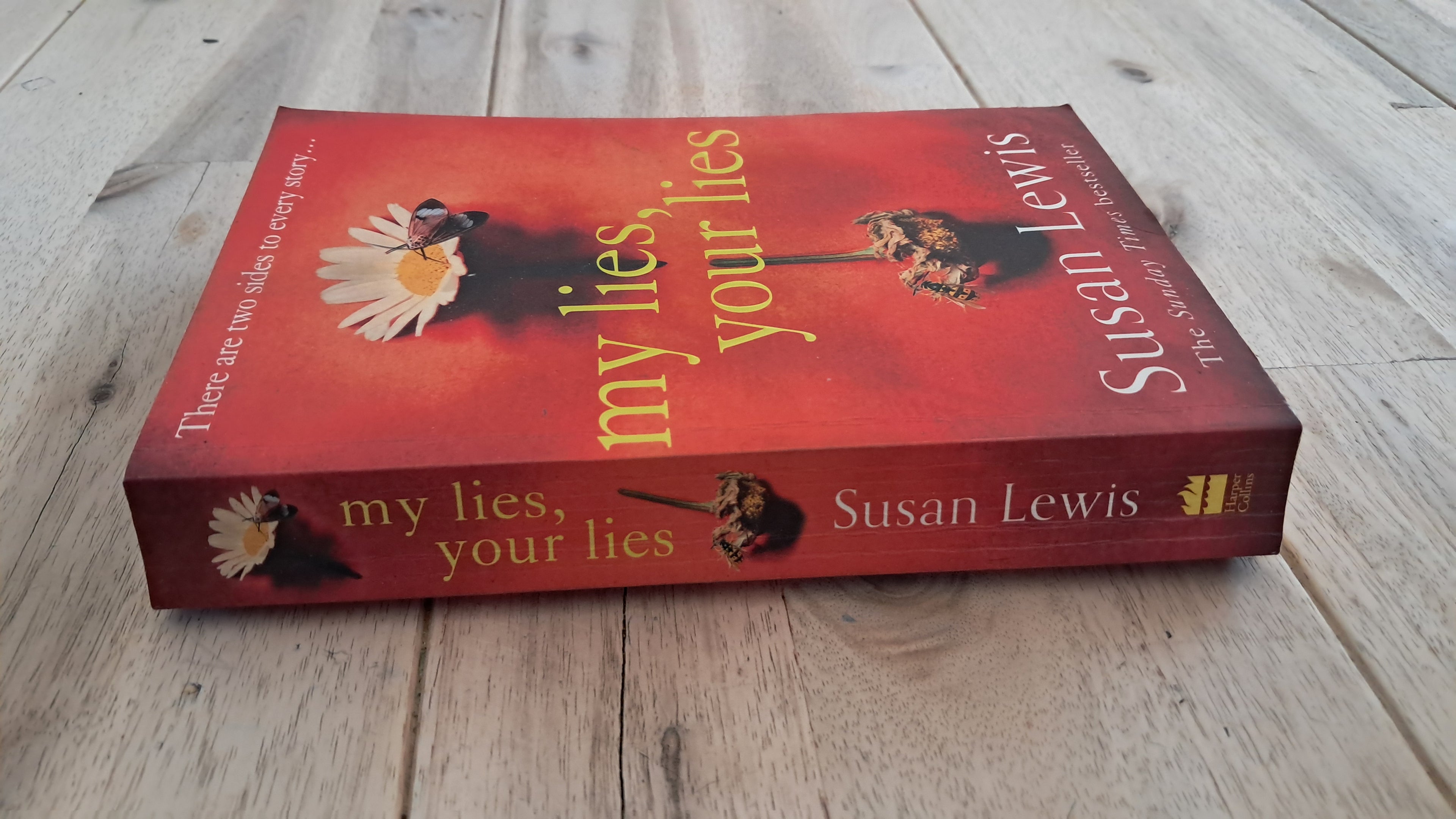 My Lies, Your Lies – Susan Lewis