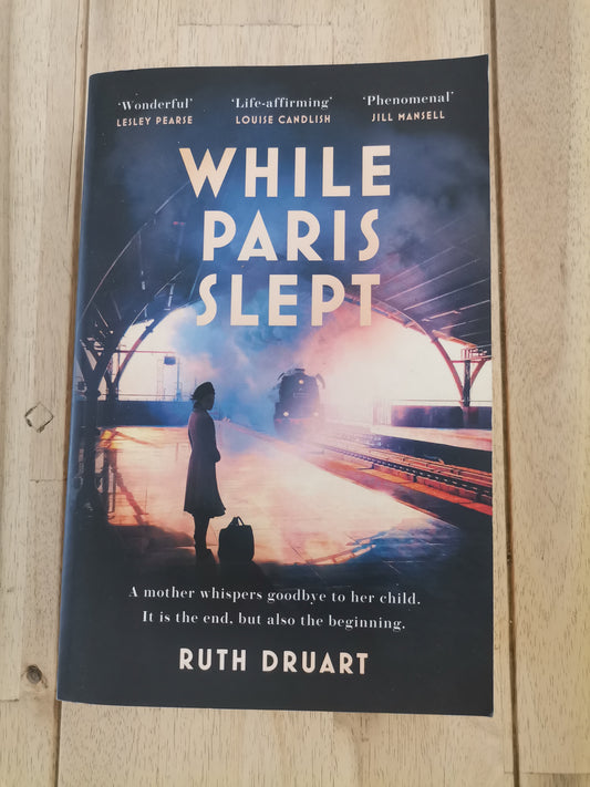 While Paris Slept by Ruth Druart