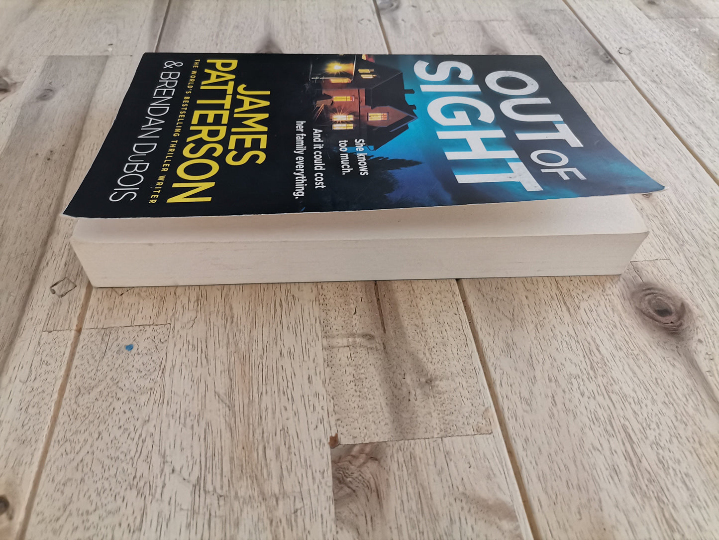 Out of Sight – James Patterson