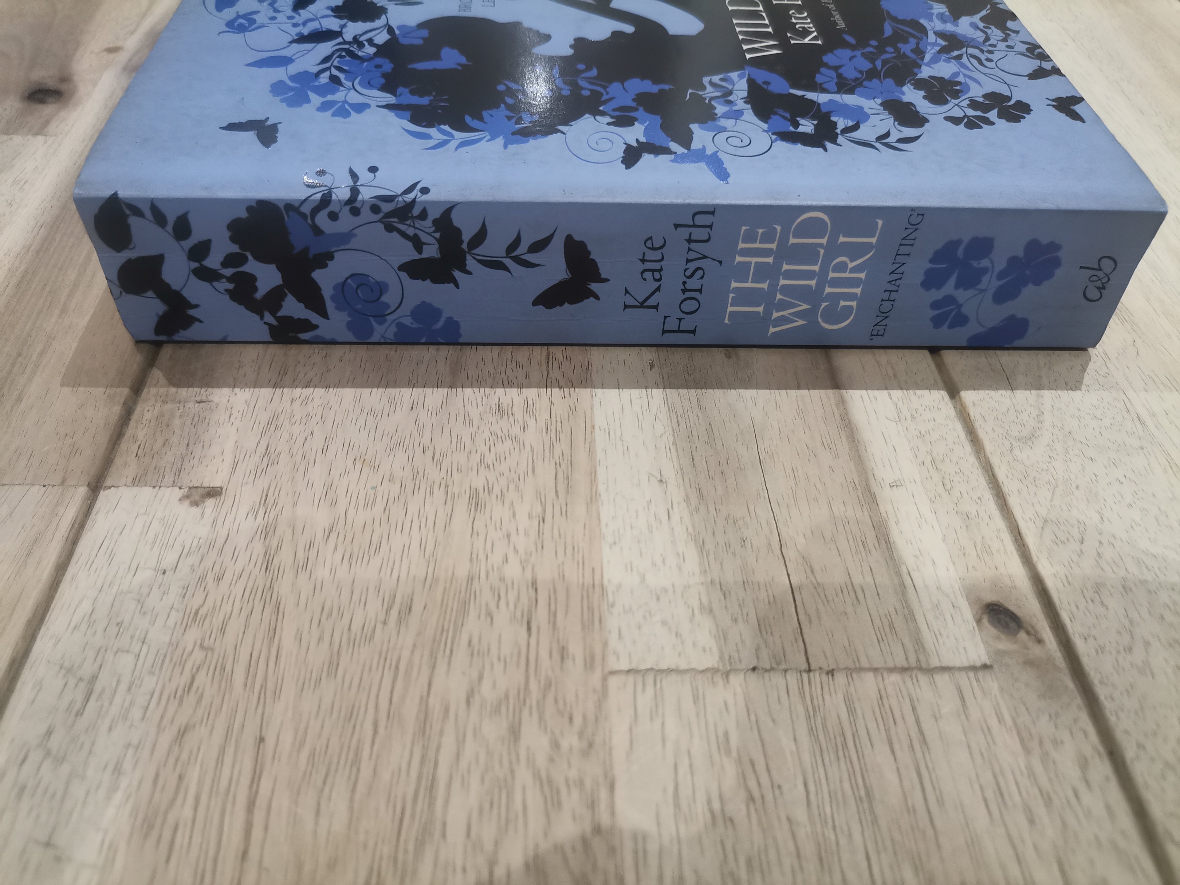 The Wild Girl by Kate Forsyth