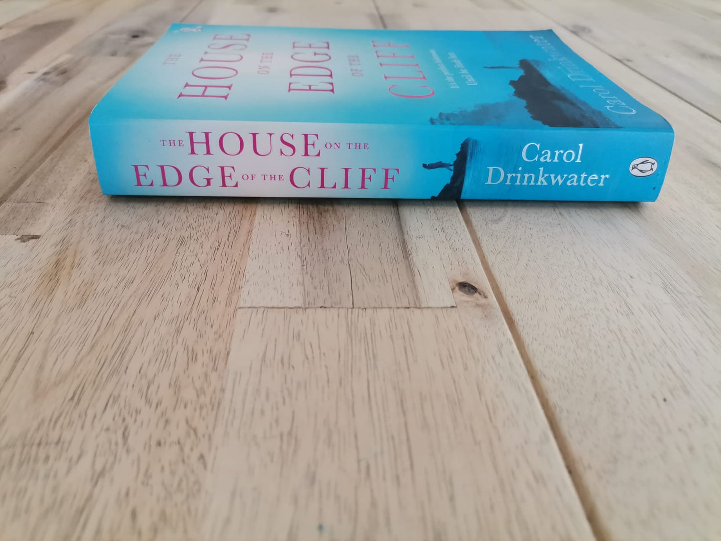 The House on the Edge of the Cliff – Carol Drinkwater
