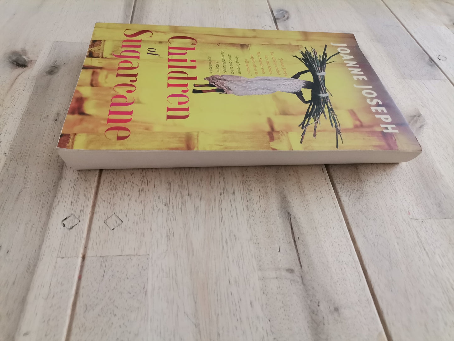Children of Sugarcane – Joanne Joseph