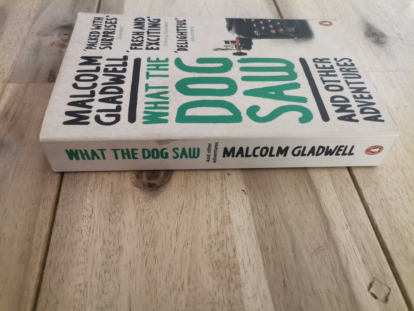 What the Dog Saw - Malcolm Gladwell (Mass Paperback)