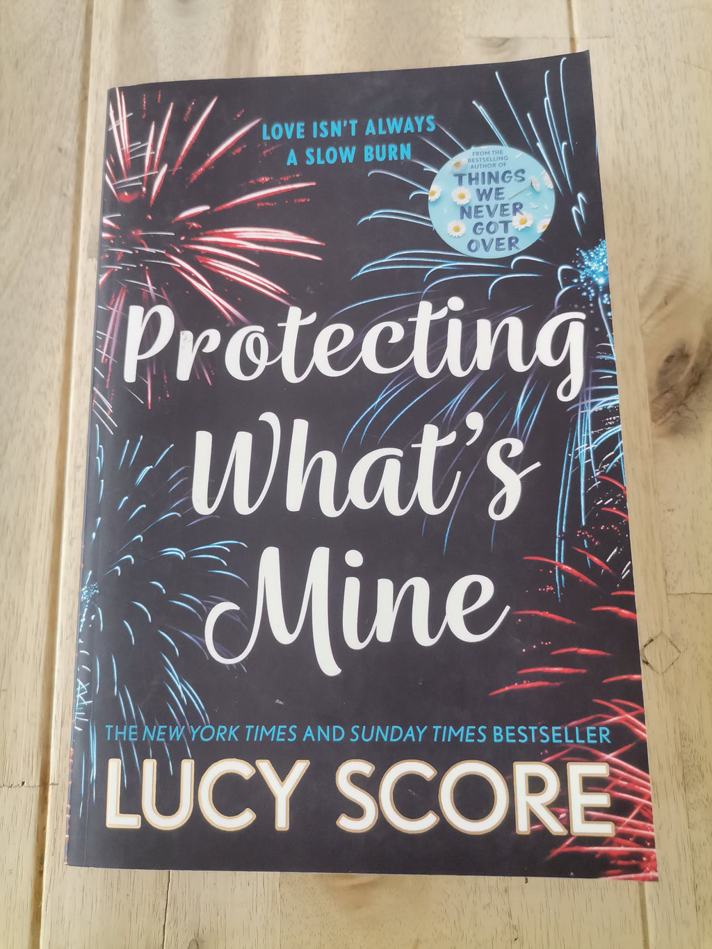 Protecting What's Mine – Lucy Score