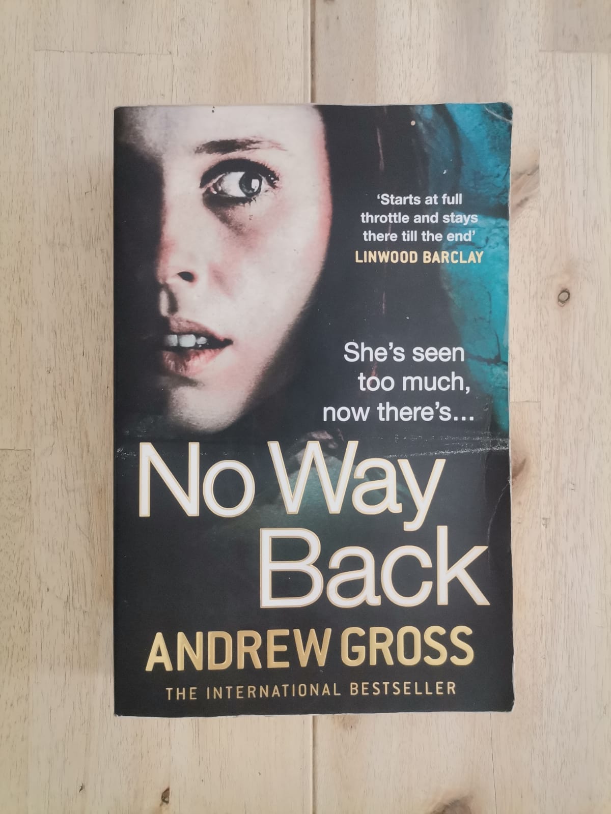 No Way Back – Andrew Gross