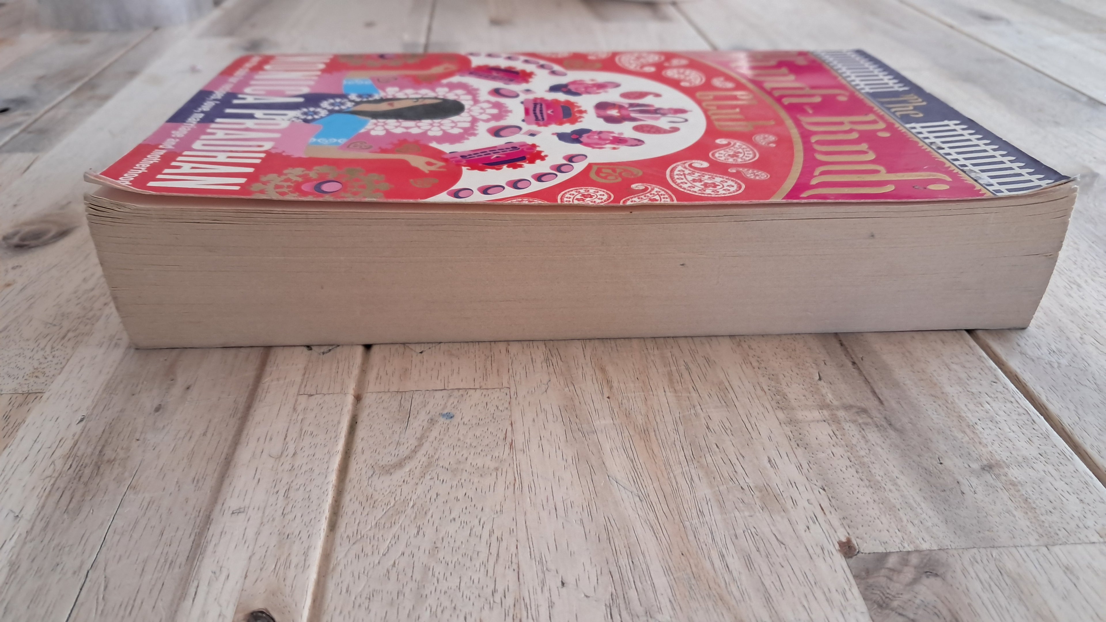The Hindi-Bindi Club – Monica Pradhan