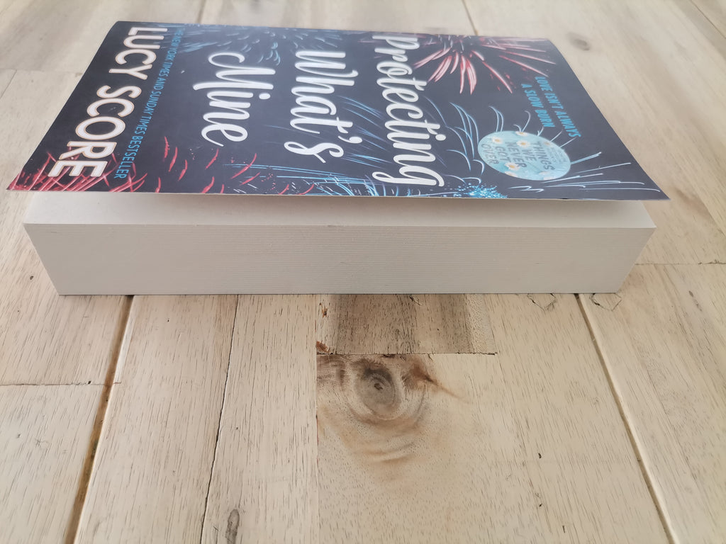 Protecting What's Mine – Lucy Score