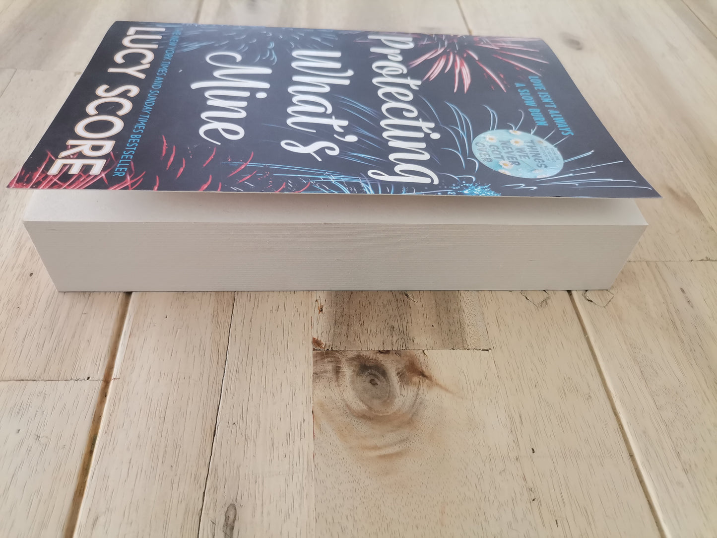 Protecting What's Mine – Lucy Score