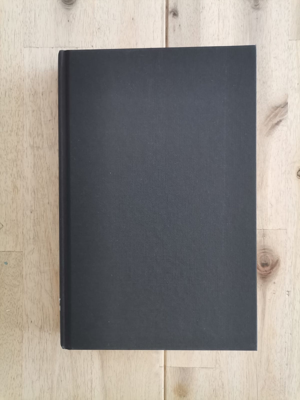 The Van Apfel Girls Are Gone – Felicity McLean
