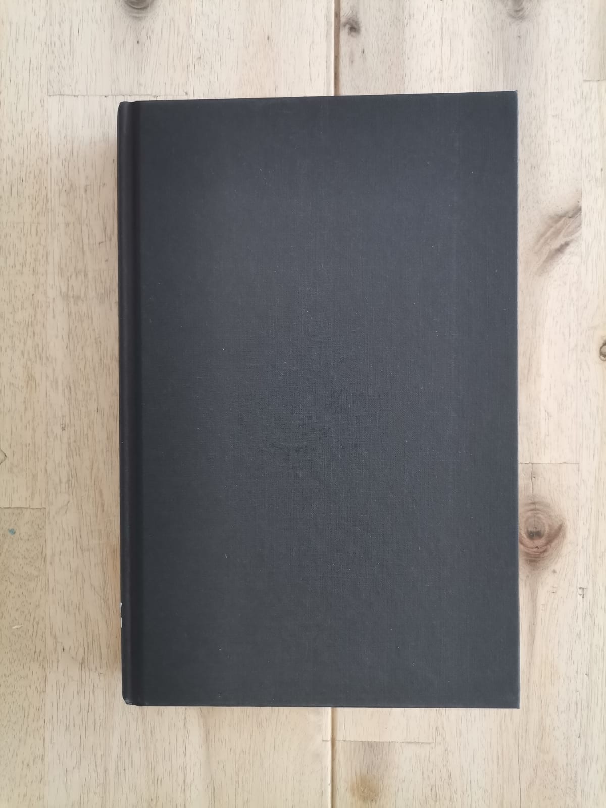 The Van Apfel Girls Are Gone – Felicity McLean