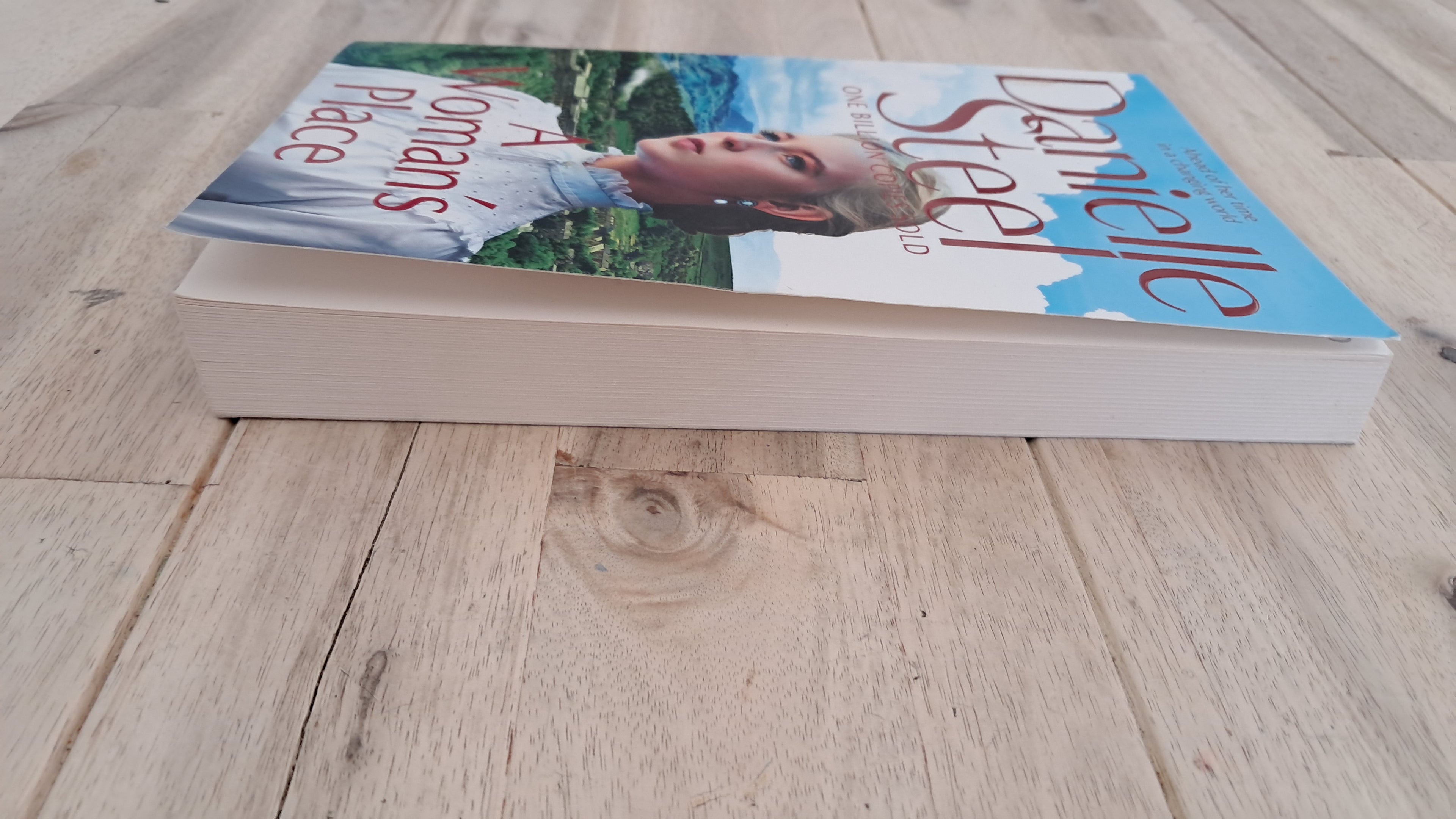A Woman's Place – Danielle Steel