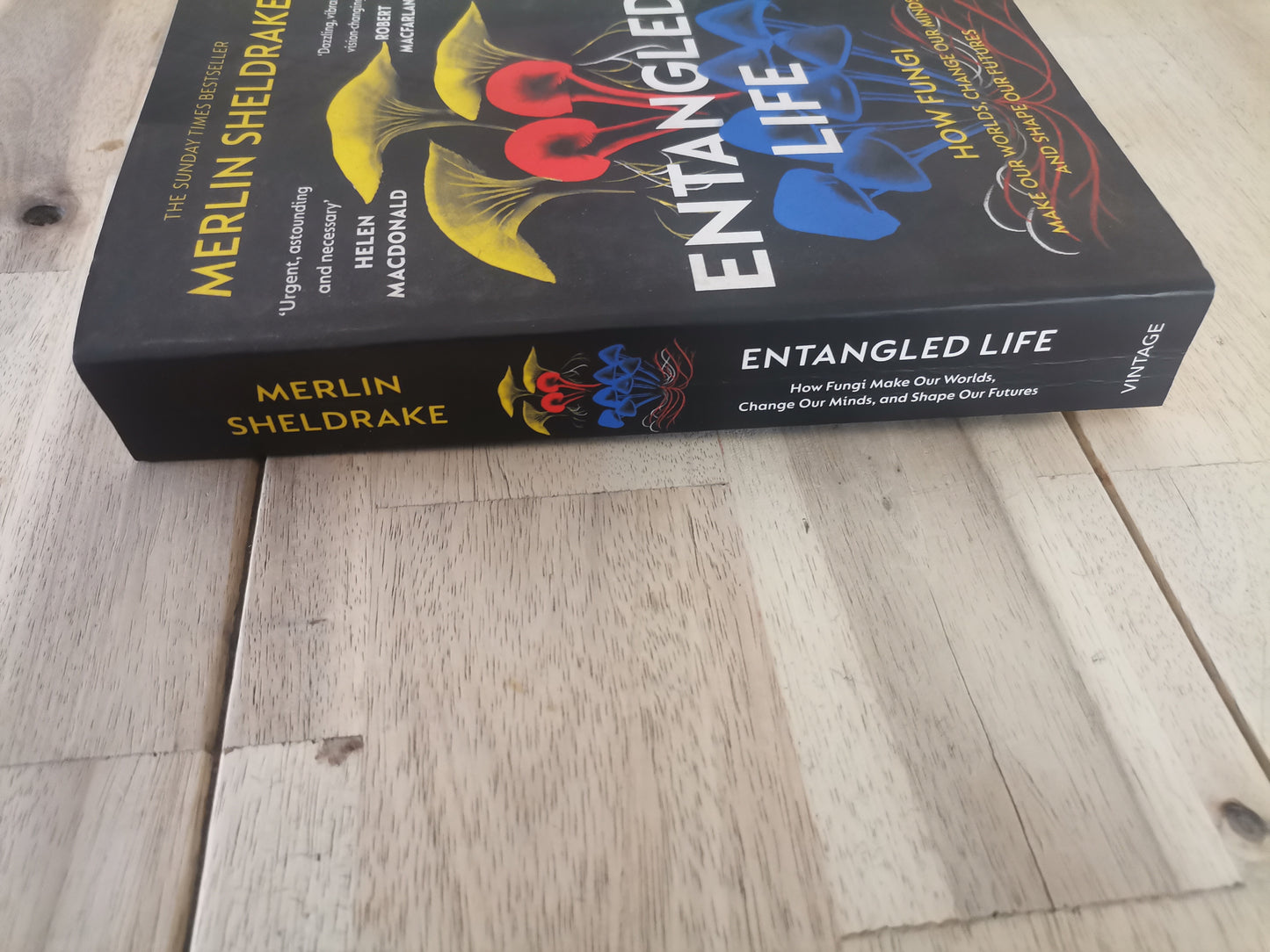 Entangled Life - Merlin Sheldrake