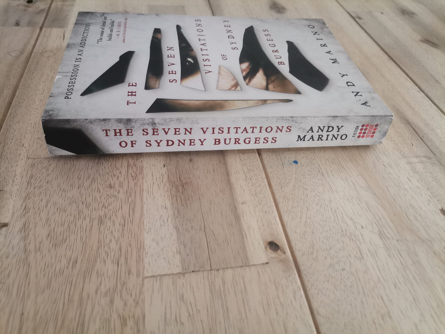 The Seven Visitations of Sydney Burgess – Andy Marino