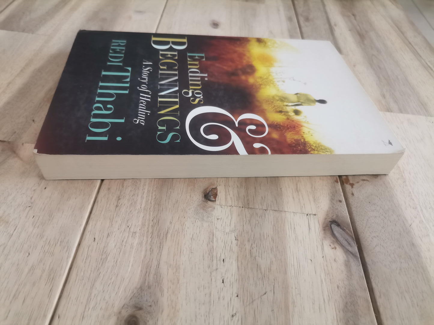 Endings and Beginnings by Redi Tlhabi