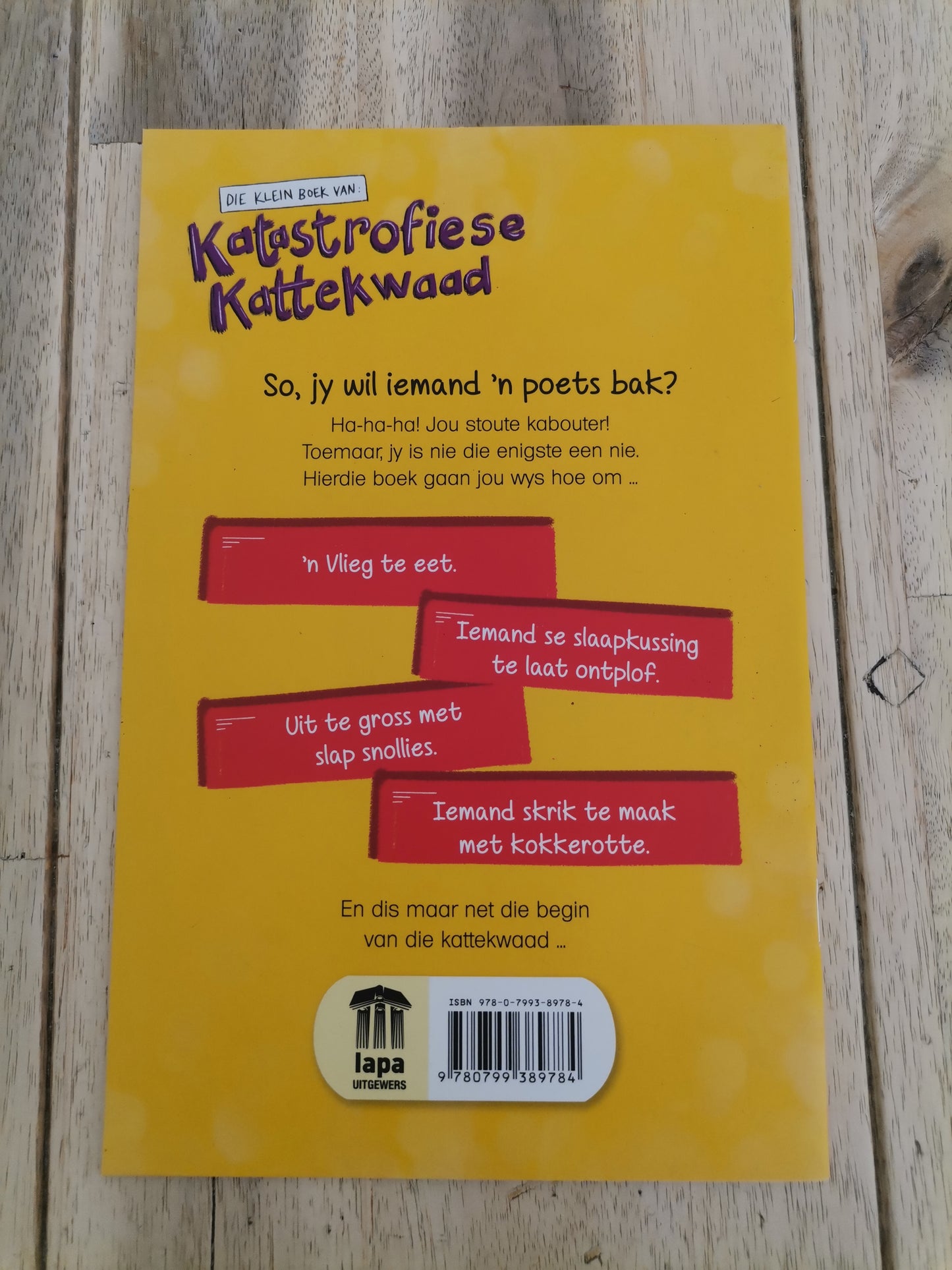 Die Klein Boek Van Katastrofiese Kattekwaad by Fanie Viljoen