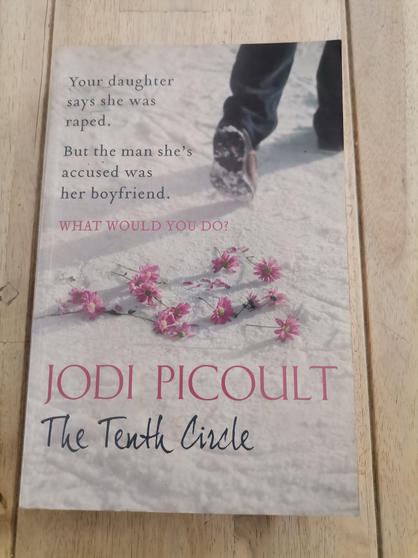 The Tenth Circle by Jodi Picoult
