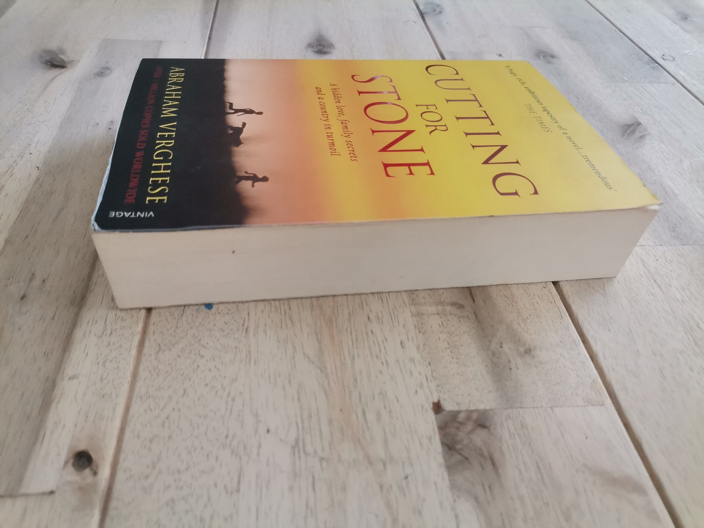 Cutting for Stone – Abraham Verghese