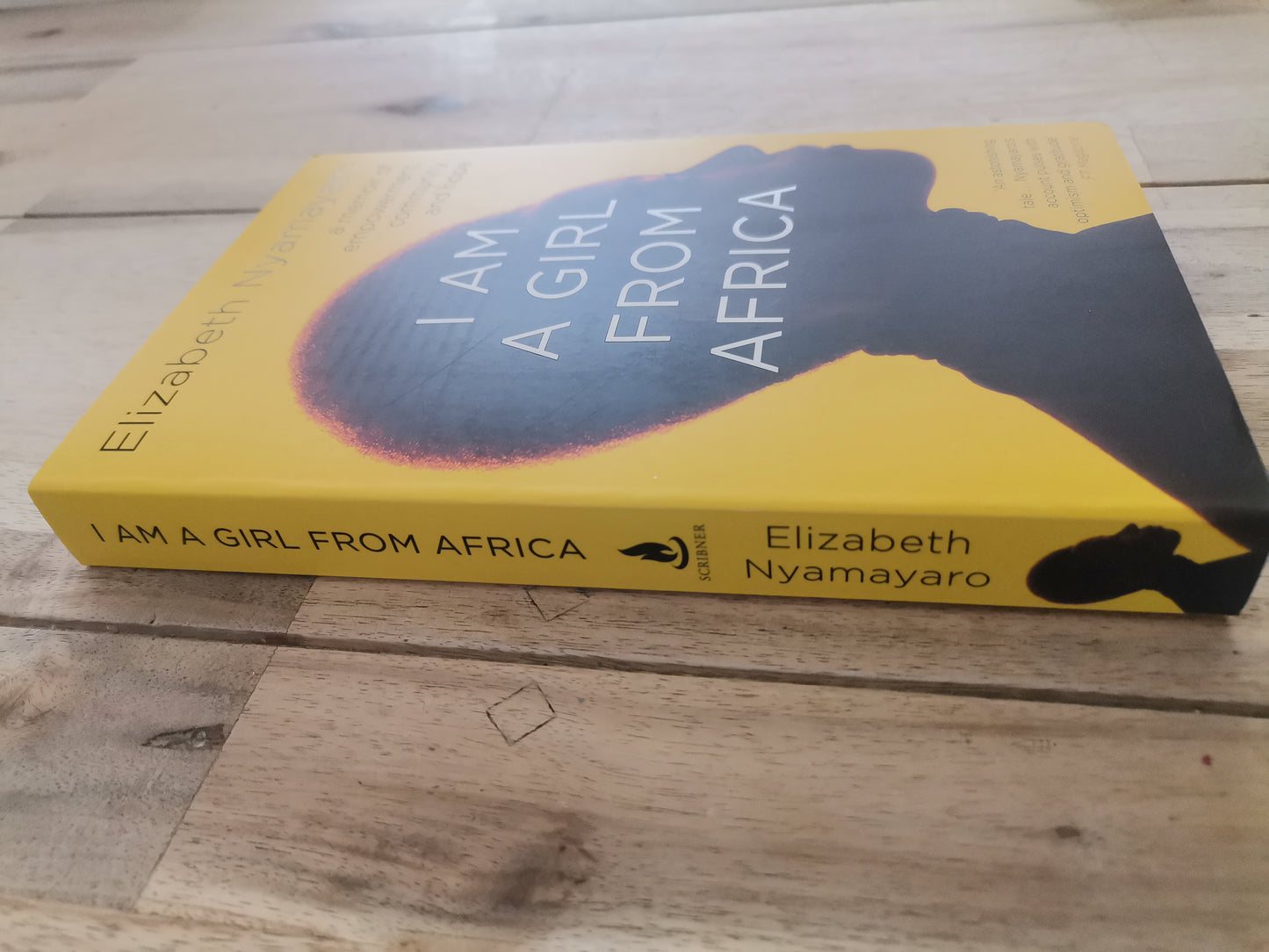 I Am a girl from Africa by Elizabeth Nyamayaro