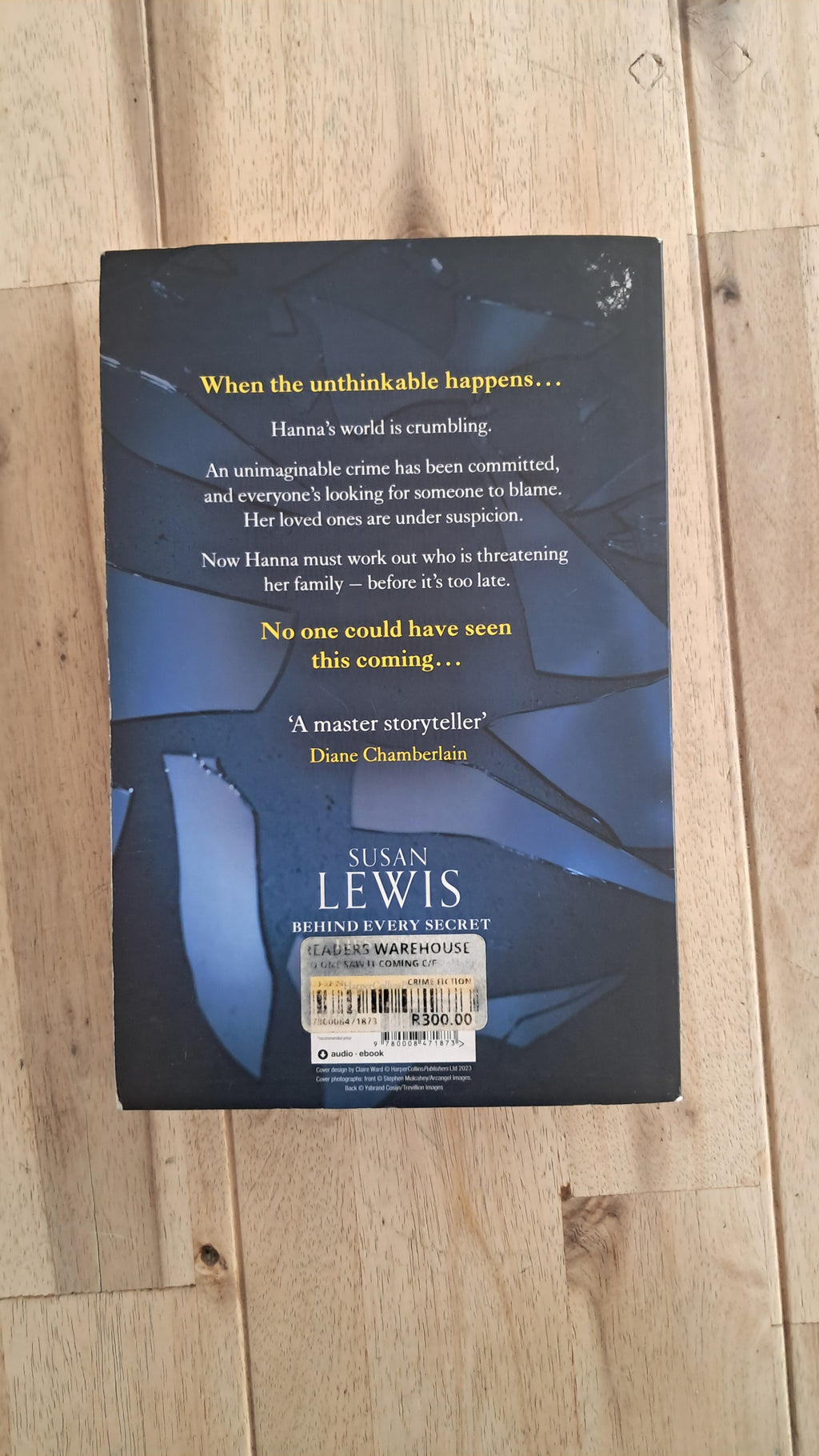 No One Saw It Coming – Susan Lewis