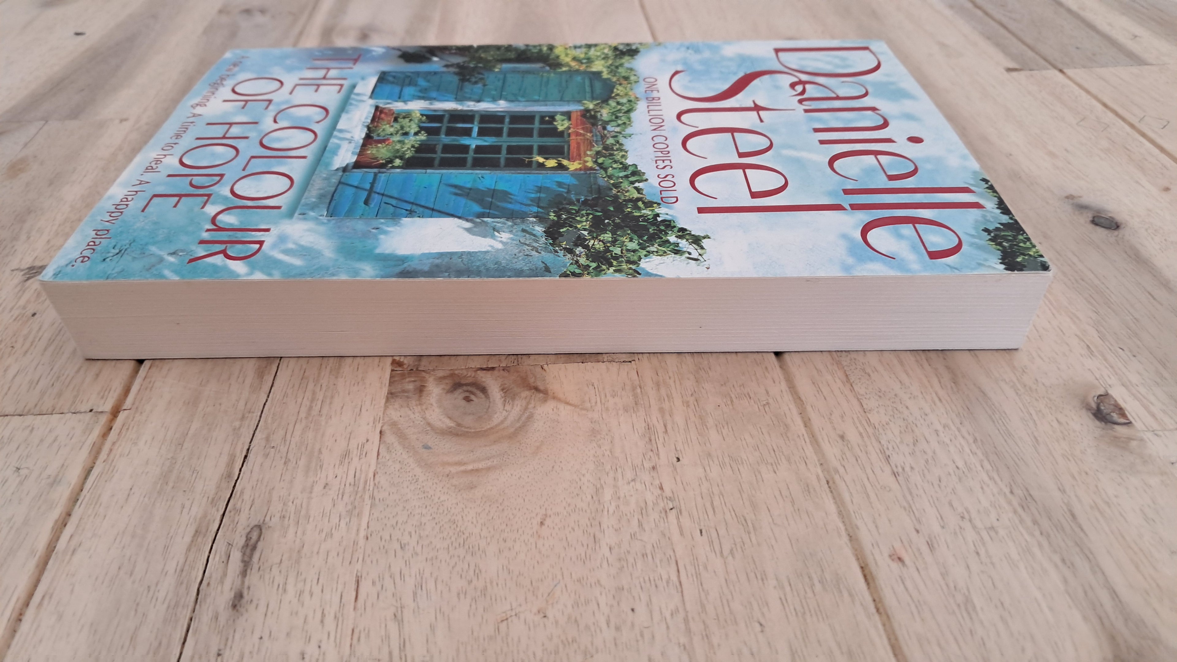 The Colour of Hope – Danielle Steel