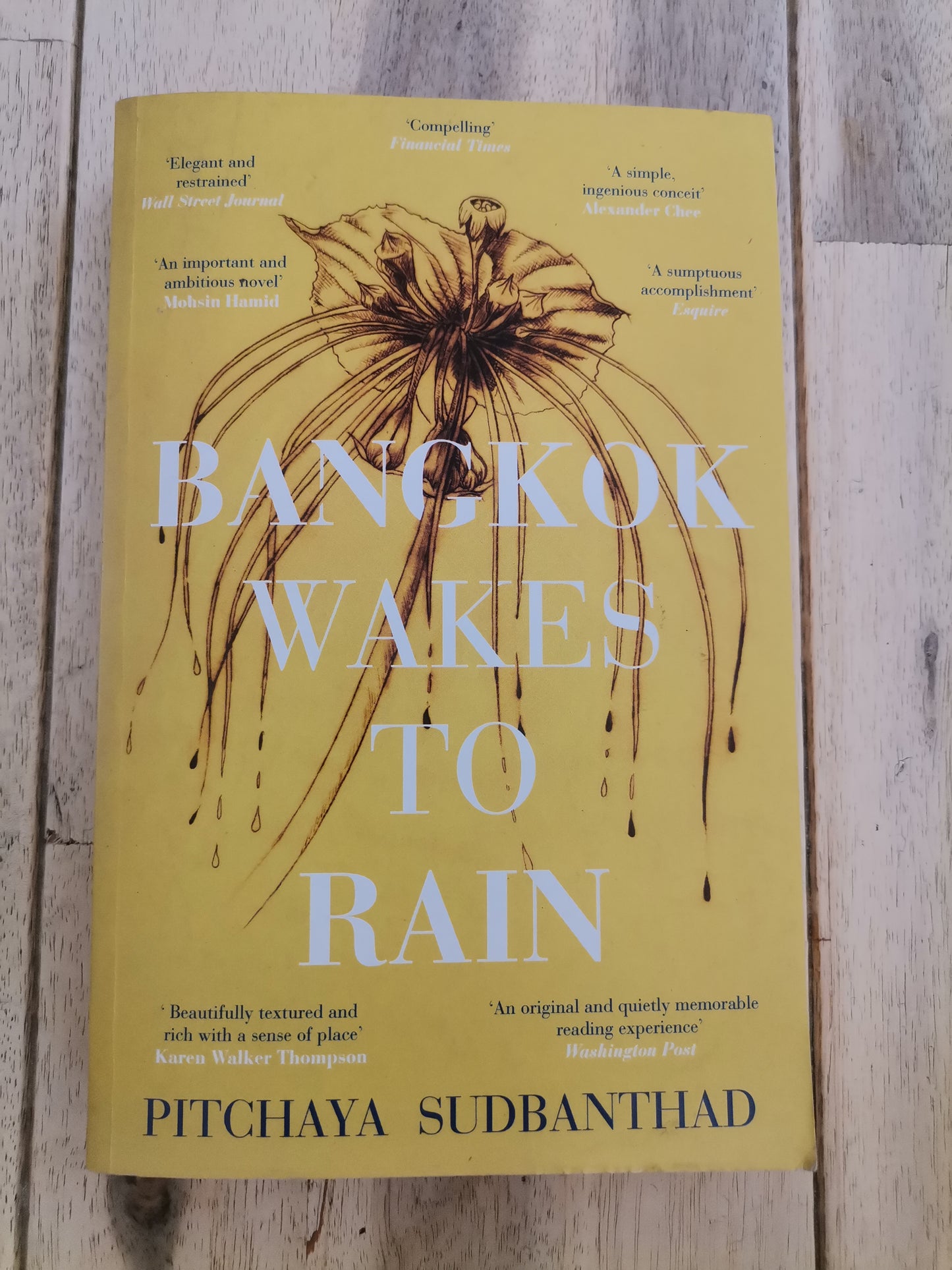 Bangkok Wakes to Rain by Pitchaya Sudbanthad