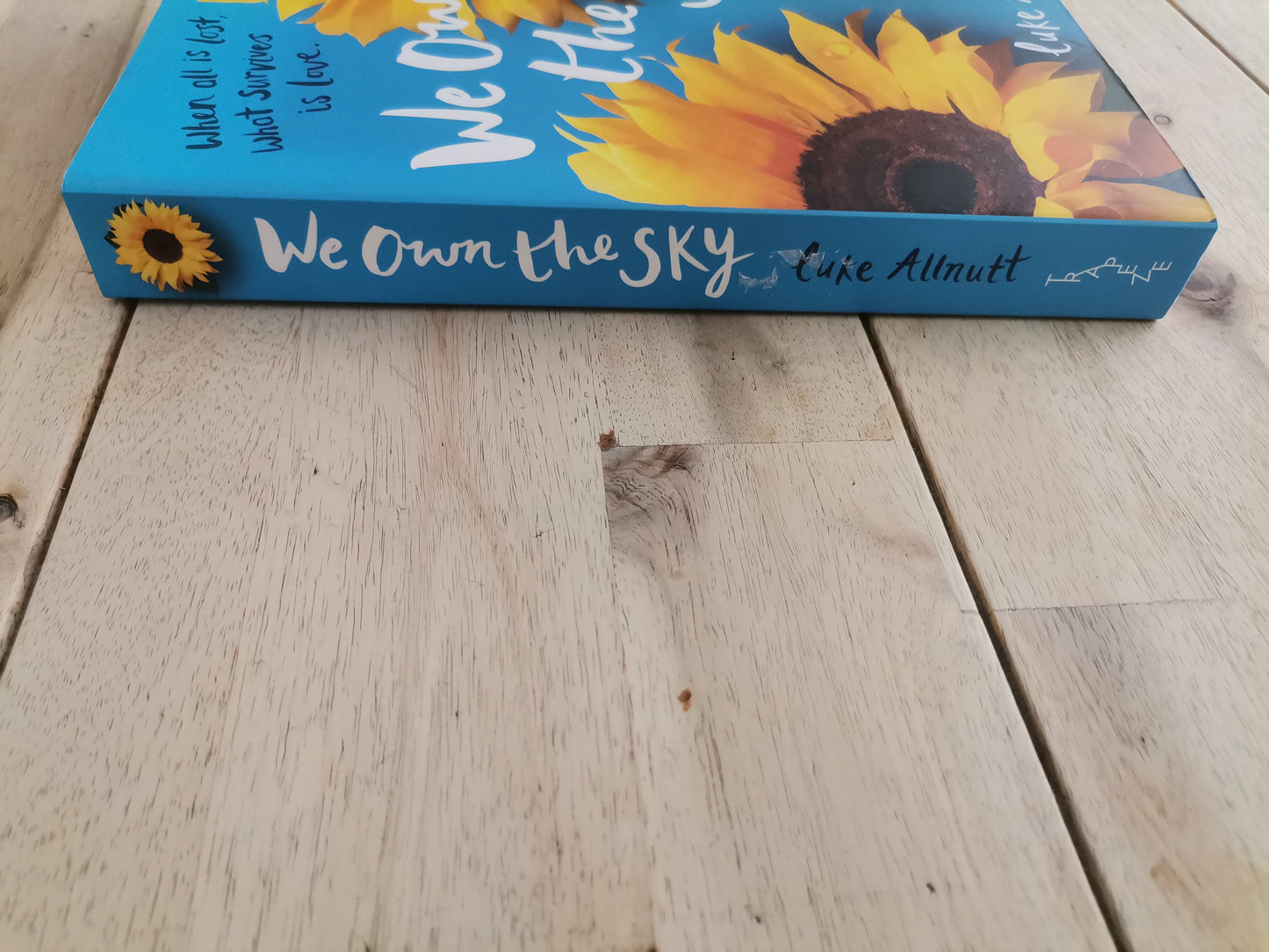 We Own the Sky by Luke Allnutt