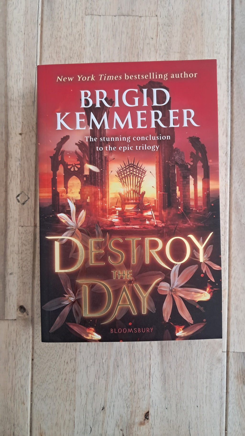 Destroy the Day – Brigid Kemmerer