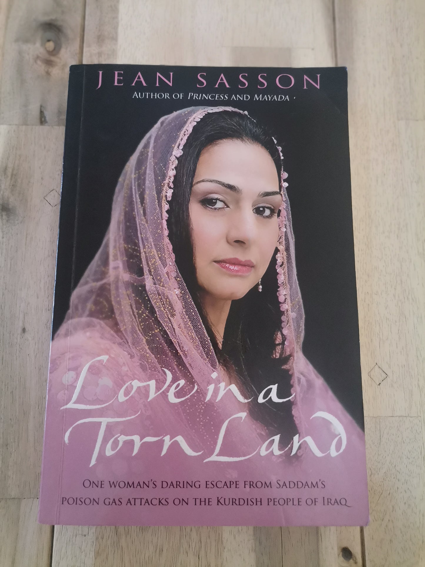 Love in a Torn Land - Jean Sasson