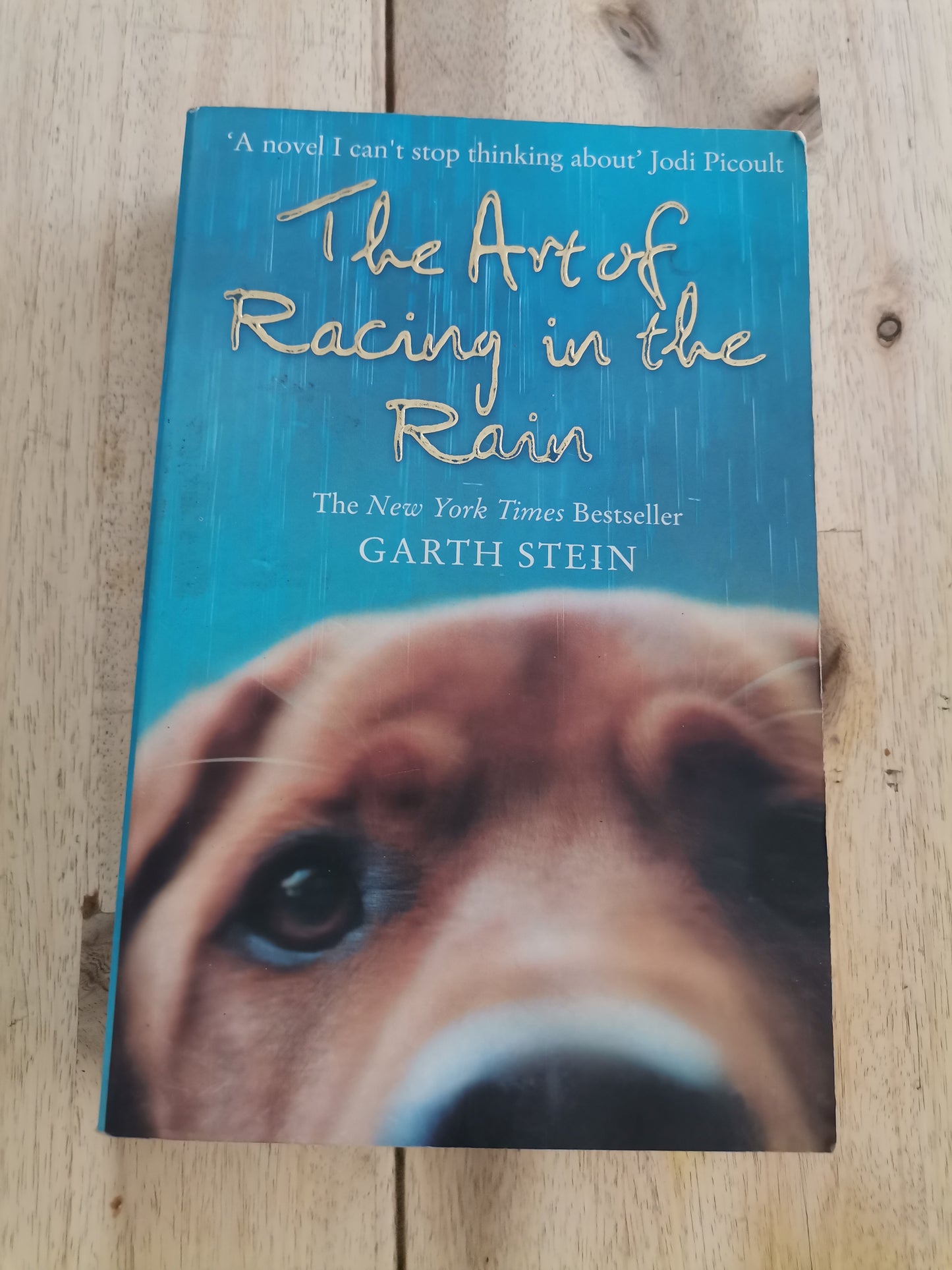 The Art of Racing in the Rain by Garth Stein