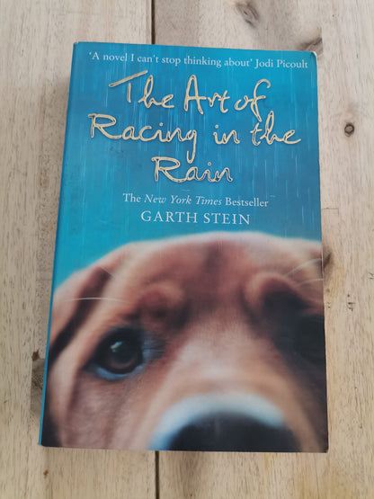 The Art of Racing in the Rain by Garth Stein