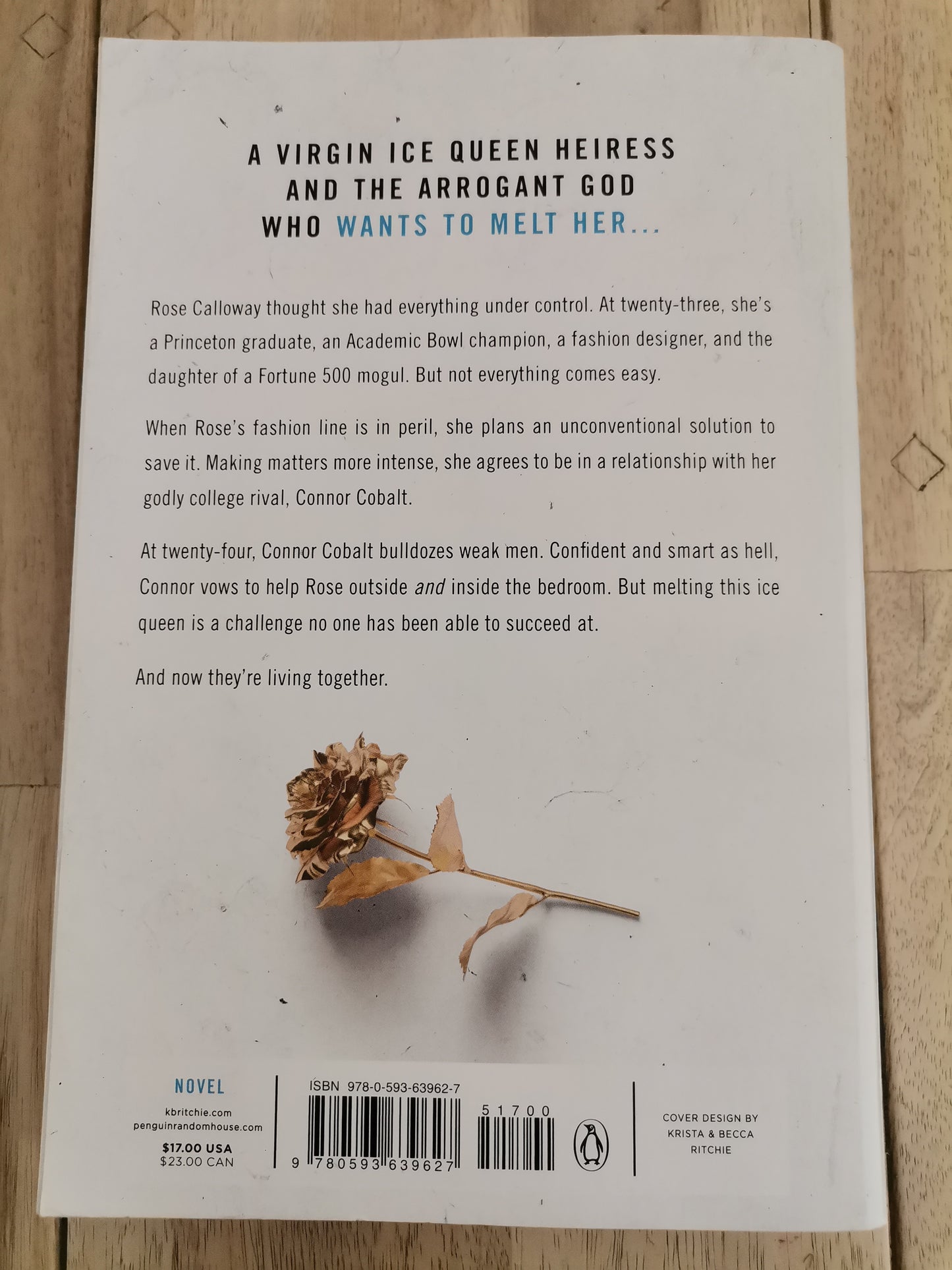 Kiss the Sky by Krista and Becca Ritchie - Paperback