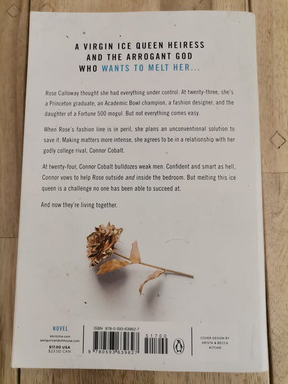 Kiss the Sky by Krista and Becca Ritchie - Paperback