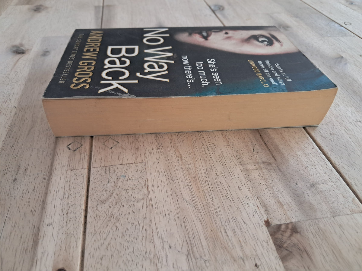 No Way Back – Andrew Gross