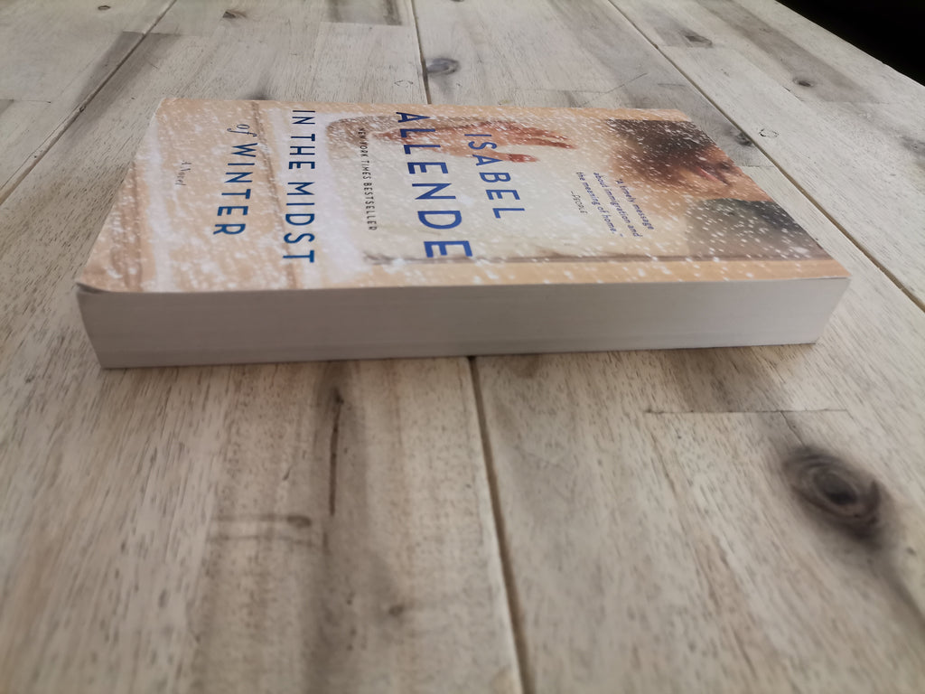 In the Midst of Winter – Isabel Allende